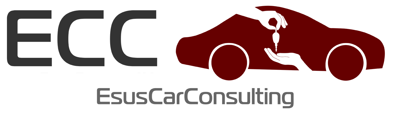 Esus Car Consulting